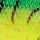 Мягкая приманка Storm WildEye Swim Shad 10g FT