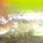 Воблер 3D Sneak Minnow 75F 5g №3