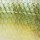 Блесна Rapala Weedless Shad WSD08-BG