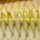 Блесна Rapala Weedless Shad WSD08-JP