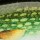 Блесна Rapala Weedless Shad WSD08-PK