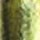 Мормышка вольфрамовая Salmo Дьявол с петелькой LJ27040-02, 040мм, цв. G
