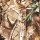 Костюм зимний Norfin Hunting Wild Passion, размер S