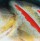 Воблер Salmo SLIDER 7S WRPH