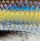 Воблер Salmo Whacky 90F SCS