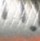 Воблер Strike Pro Mustang Minnow 45F 4.4гр MG002F A06E