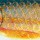 Воблер Salmo Minnow 50F RR