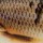 Воблер Salmo Minnow 50F WOD