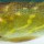 Воблер Salmo Pike 90F RPE