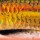 Воблер Salmo Sting 90F GCS