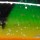 Воблер Strike Pro Swing Minnow 53SP 2.5гр SP-012SP A09