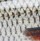 Воблер Rapala Shad Rap SR05 50F 6 g ROL