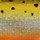 Воблер Rapala Floating Original 30F 2 g RFSM