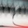 Топвоттер Rapala Skitter V, 10см, 14гр, CH
