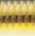 Топвоттер Rapala Skitter V, 10см, 14гр, GCH