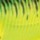 Воблер YO-ZURI SASHIMI SHAD FW (SP) 70mm R1018-CMFT