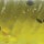 Виброхвост Storm 360GT Searchbait Minnow SBM35-HO (3 приманки 9см.+ 1головка 3,5гр)