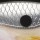Воблер Rapala BX Brat 50F S 0.9m