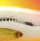 Воблер Rapala Tail Dancer Deep TDD-7 70F CLS