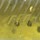 Виброхвост незацепляйка Storm 360GT Searchbait Minnow 11см HO