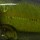 Воблер Smith Camion Magnum SR 36mm 3,1g 687 F