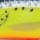 Воблер Rapala Tail Dancer Deep TDD-7 70F HS