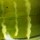 Воблер Aqua Big Frog Crank 6cm B22