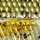 Пилькер Kosadaka Fish Darts F11, 20 гр. цвет SML