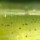 Силикон Jackall Super Cross Tail Shad 1.5 Ayu