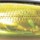 Воблер PONTOON 21 Greedy Guts 55F MDR 55mm 4.1gr 422