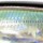 Воблер PONTOON 21 Greedy Guts 55F SR 55mm 3.9gr 405