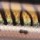 Воблер Strike Pro Cuban Popper 55 6.2g JL-008 521