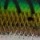 Воблер Strike Pro Cuban Popper 55 6.2g JL-008 321
