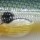 Воблер Reaction Strike XPD-90F 9см 20г Ghost Natural Shad