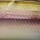 Воблер DUO Realis Jerkbait 120SP 18г S61