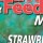 Прикормка Sensas Method Feeder Mix Strawberry (Клубника) 1кг