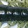 Силикон Bait Breath Dekamix 4.5" 106