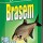 Ароматические сиропы FishDream DreaMix Brasem