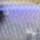 Воблер PONTOON 21 CrackJack 78SP SR 10.8 g 081
