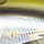 Воблер Megabass Z-Crank X (Rattle In) Stealth Bait