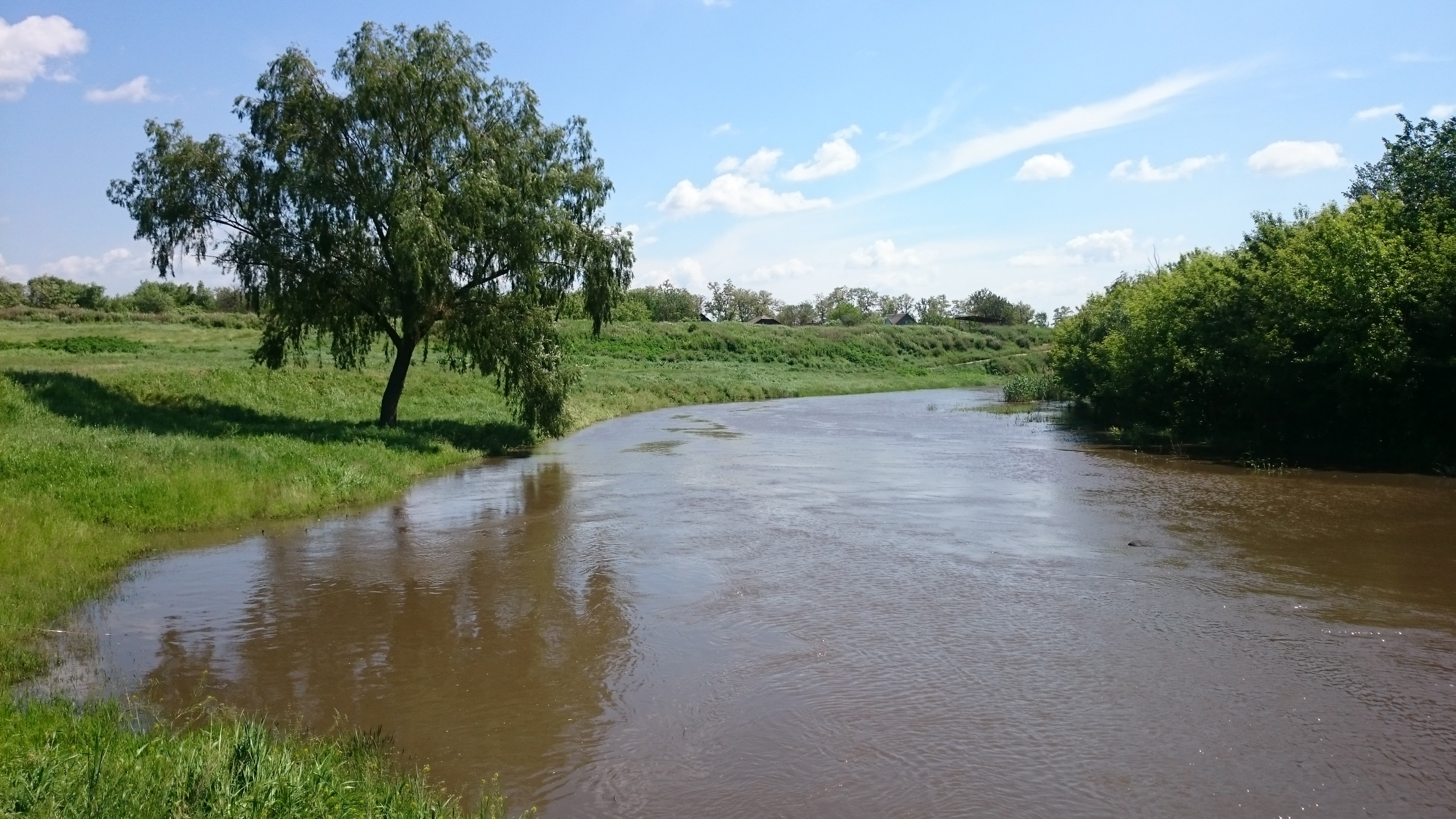 Река Крынка Ростовская область
