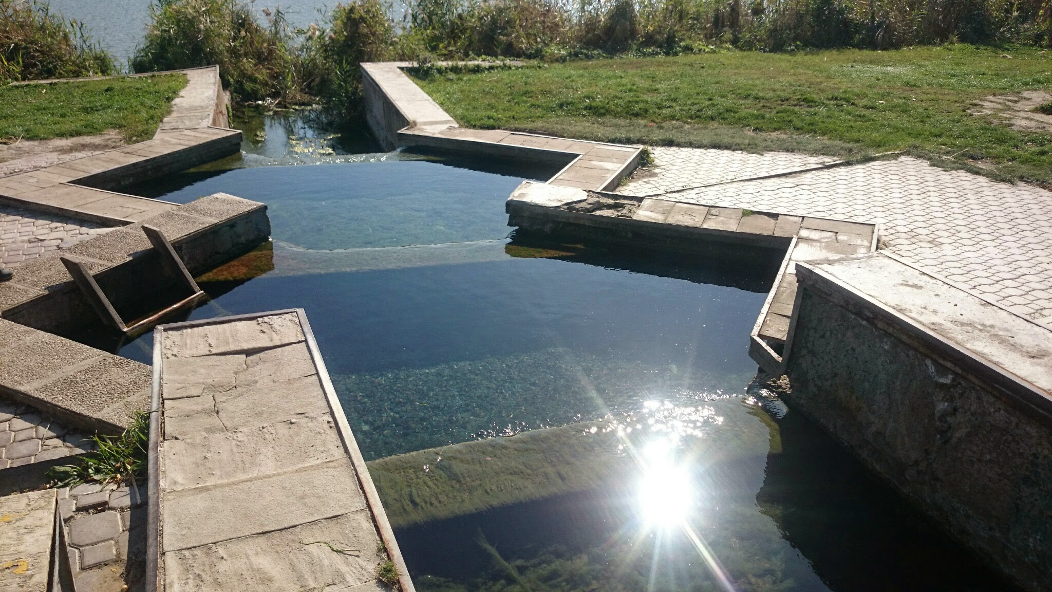 Северный родник. Родник на Северном водохранилище Ростов. Северное водохранилище Ростов кувшинка. Кувшинка в Ростове на Дону на Северном водохранилище. Родник в Ростове на Дону на Северном.