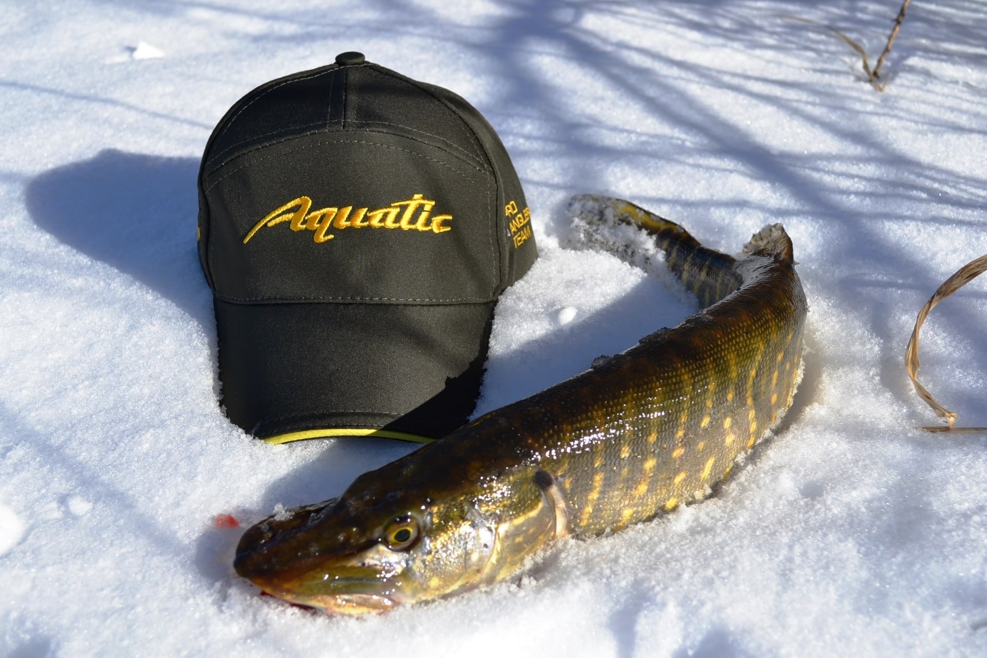 Кепка Aquatic КА-03TX