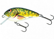 Воблер Salmo Butcher 5F BR