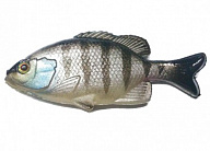 Силикон Jackall Clone Gill 2.5" Black Gill