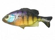 Силикон Jackall Clone Gill 2.5" Ghost Gill