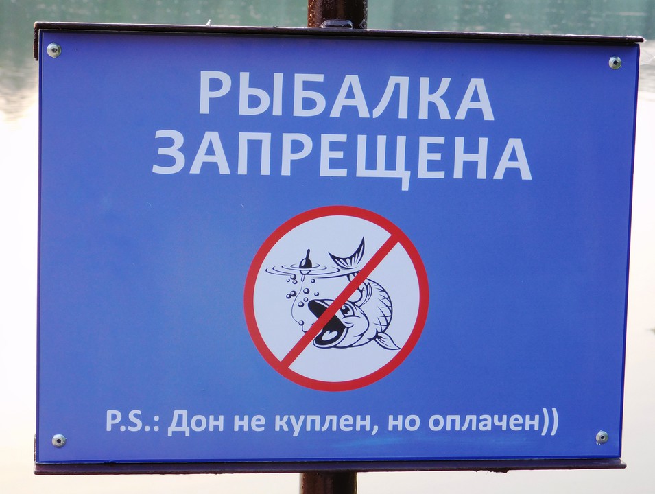 О запрете рыбалки. Таблички о запрете рыбалки. Рыбалка запрещена. Рыбалка запрещена табличка. Ловля рыбы запрещена знак.
